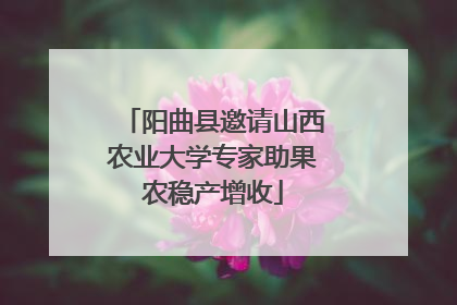 阳曲县邀请山西农业大学专家助果农稳产增收