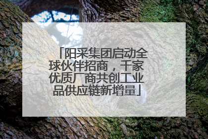 阳采集团启动全球伙伴招商，千家优质厂商共创工业品供应链新增量