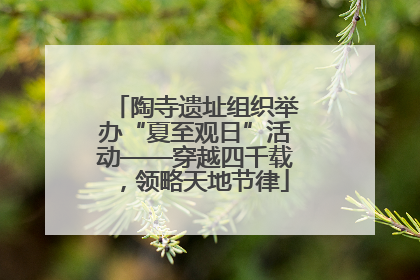 陶寺遗址组织举办“夏至观日”活动——穿越四千载，领略天地节律