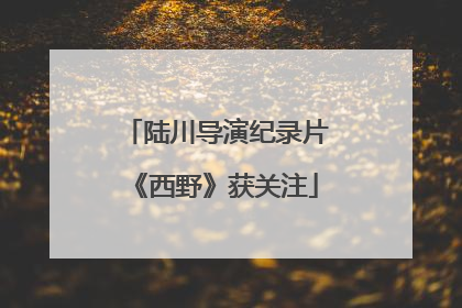 陆川导演纪录片《西野》获关注