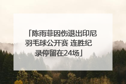 陈雨菲因伤退出印尼羽毛球公开赛 连胜纪录停留在24场