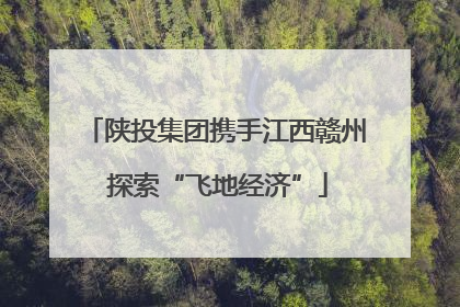 陕投集团携手江西赣州 探索“飞地经济”