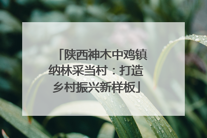 陕西神木中鸡镇纳林采当村：打造乡村振兴新样板