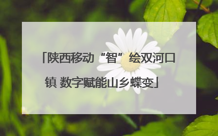 陕西移动“智”绘双河口镇 数字赋能山乡蝶变