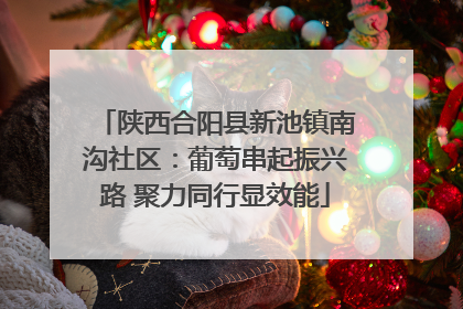 陕西合阳县新池镇南沟社区：葡萄串起振兴路 聚力同行显效能