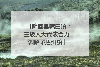 隆回县鸭田镇：三级人大代表合力调解矛盾纠纷