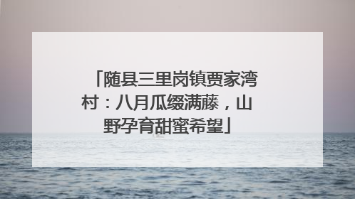 随县三里岗镇贾家湾村：八月瓜缀满藤，山野孕育甜蜜希望