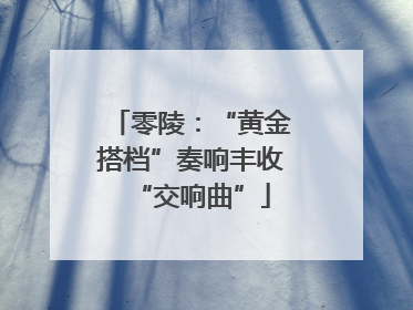 零陵：“黄金搭档”奏响丰收“交响曲”