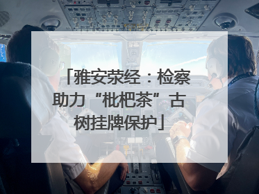 雅安荥经：检察助力“枇杷茶”古树挂牌保护