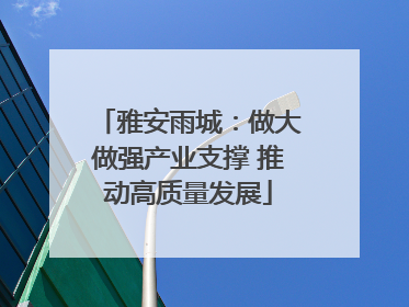 雅安雨城：做大做强产业支撑 推动高质量发展