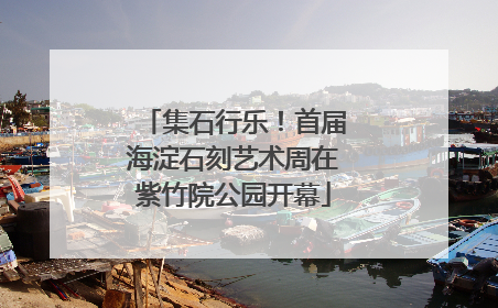 集石行乐！首届海淀石刻艺术周在紫竹院公园开幕