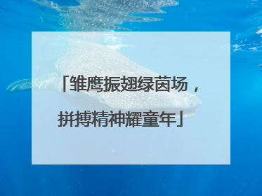 雏鹰振翅绿茵场，拼搏精神耀童年