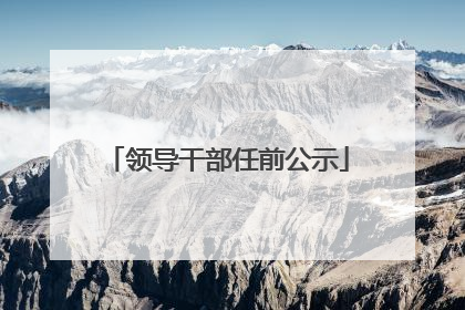 领导干部任前公示