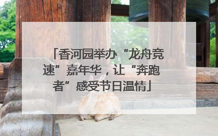 香河园举办“龙舟竞速”嘉年华，让“奔跑者”感受节日温情