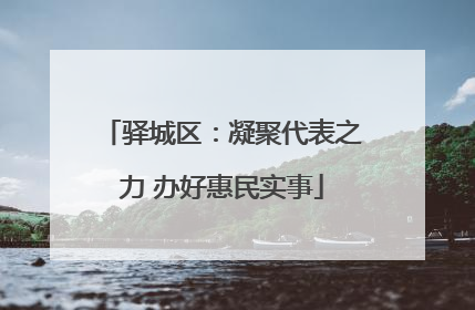驿城区：凝聚代表之力 办好惠民实事