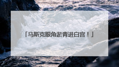 马斯克眼角淤青进白宫！