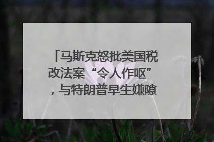 马斯克怒批美国税改法案“令人作呕”，与特朗普早生嫌隙？｜国际识局