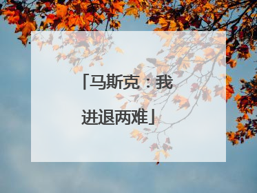 马斯克：我进退两难