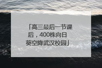 高三最后一节课后，400株向日葵空降武汉校园