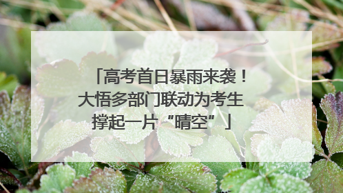 高考首日暴雨来袭！大悟多部门联动为考生撑起一片“晴空”