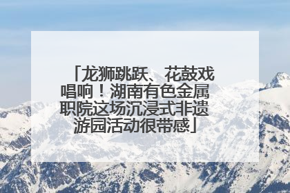 龙狮跳跃、花鼓戏唱响！湖南有色金属职院这场沉浸式非遗游园活动很带感