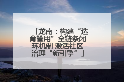 龙南：构建“选育管用”全链条闭环机制 激活社区治理“新引擎”