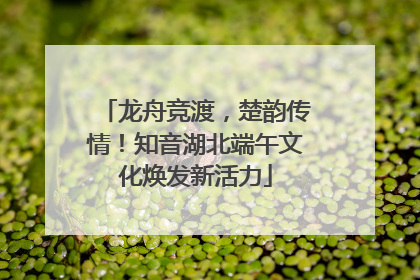 龙舟竞渡，楚韵传情！知音湖北端午文化焕发新活力
