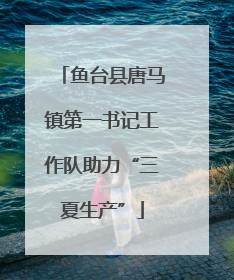 鱼台县唐马镇第一书记工作队助力“三夏生产”