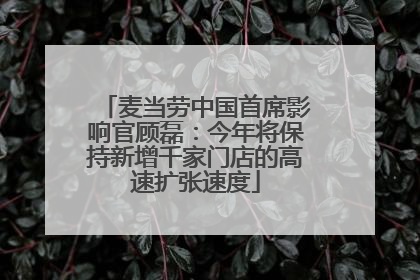 麦当劳中国首席影响官顾磊：今年将保持新增千家门店的高速扩张速度