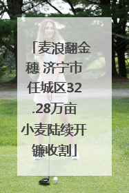 麦浪翻金穗 济宁市任城区32.28万亩小麦陆续开镰收割