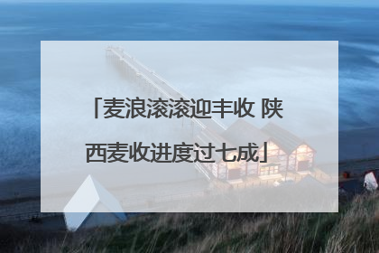 麦浪滚滚迎丰收 陕西麦收进度过七成