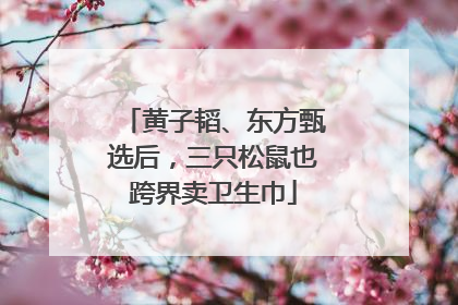 黄子韬、东方甄选后，三只松鼠也跨界卖卫生巾