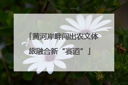 黄河岸畔闯出农文体旅融合新“赛道”