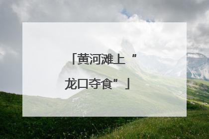 黄河滩上“龙口夺食”
