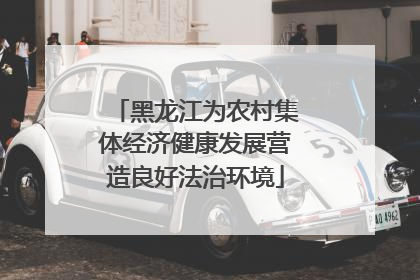 黑龙江为农村集体经济健康发展营造良好法治环境