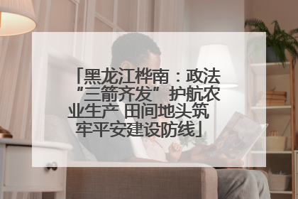 黑龙江桦南：政法“三箭齐发”护航农业生产 田间地头筑牢平安建设防线