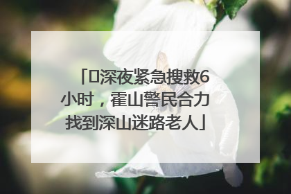 ﻿深夜紧急搜救6小时，霍山警民合力找到深山迷路老人