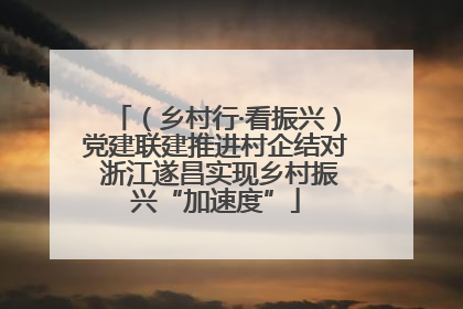 （乡村行·看振兴）党建联建推进村企结对 浙江遂昌实现乡村振兴“加速度”