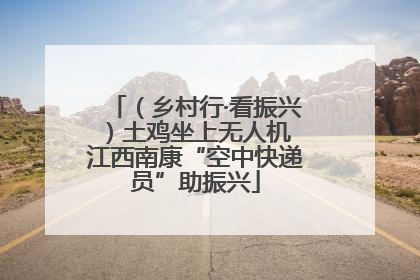 （乡村行·看振兴）土鸡坐上无人机 江西南康“空中快递员”助振兴