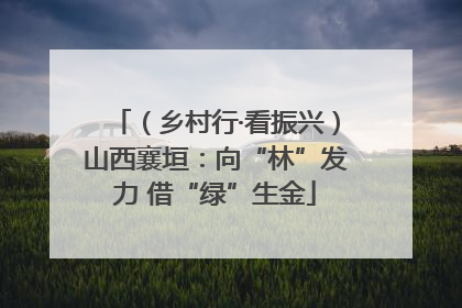 （乡村行·看振兴）山西襄垣：向“林”发力 借“绿”生金