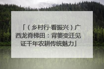 （乡村行·看振兴）广西龙脊梯田：背篓变迁见证千年农耕传统魅力