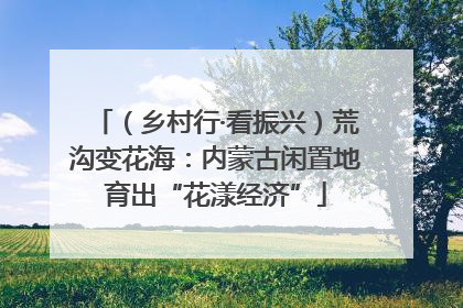 （乡村行·看振兴）荒沟变花海：内蒙古闲置地育出“花漾经济”