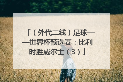 （外代二线）足球——世界杯预选赛：比利时胜威尔士（3）