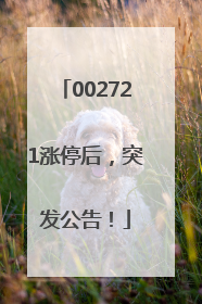 002721涨停后，突发公告！