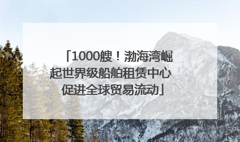 1000艘！渤海湾崛起世界级船舶租赁中心 促进全球贸易流动