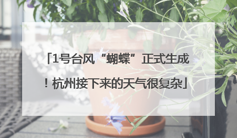 1号台风“蝴蝶”正式生成！杭州接下来的天气很复杂