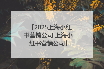 2025上海小红书营销公司 上海小红书营销公司