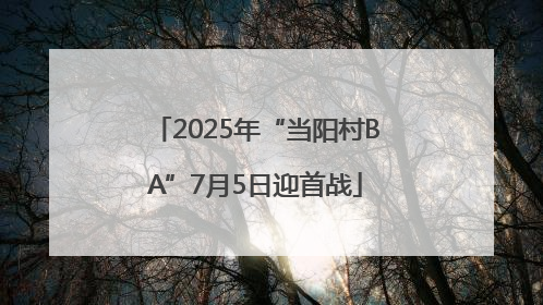 2025年“当阳村BA”7月5日迎首战