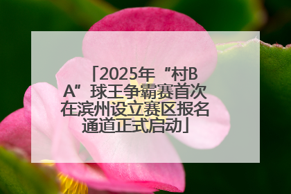 2025年“村BA”球王争霸赛首次在滨州设立赛区报名通道正式启动
