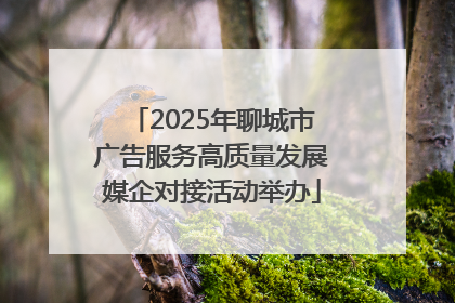 2025年聊城市广告服务高质量发展媒企对接活动举办